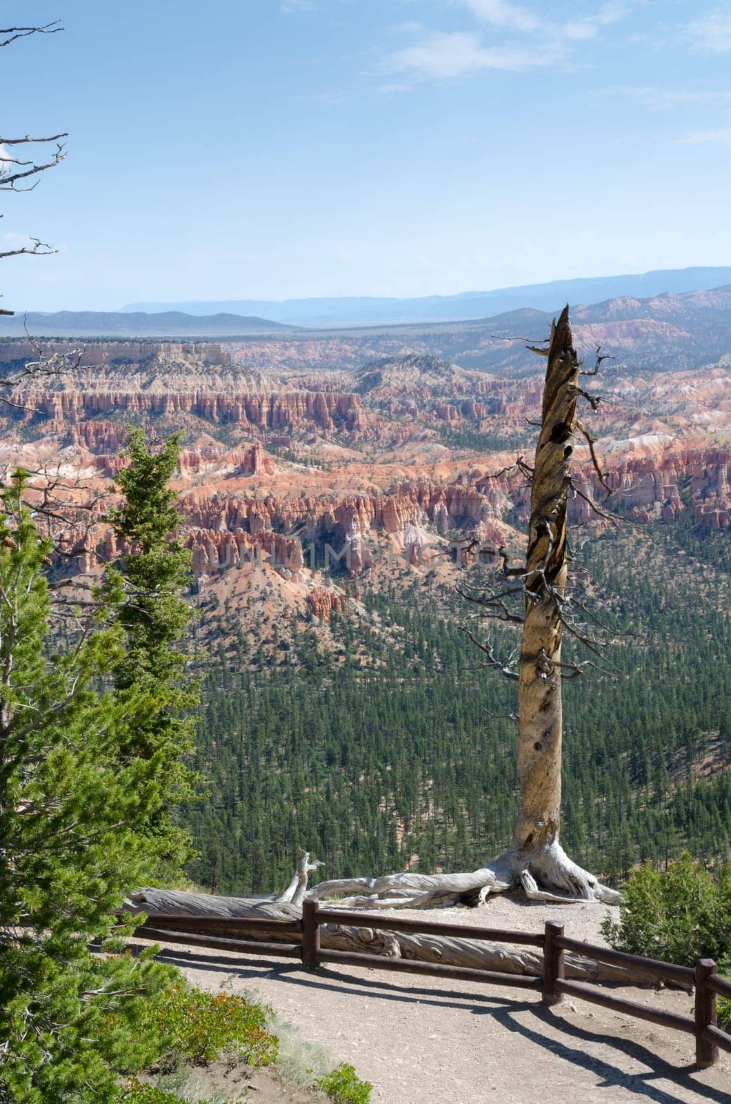 Bryce Canyon National Park in Utah in the United States of America