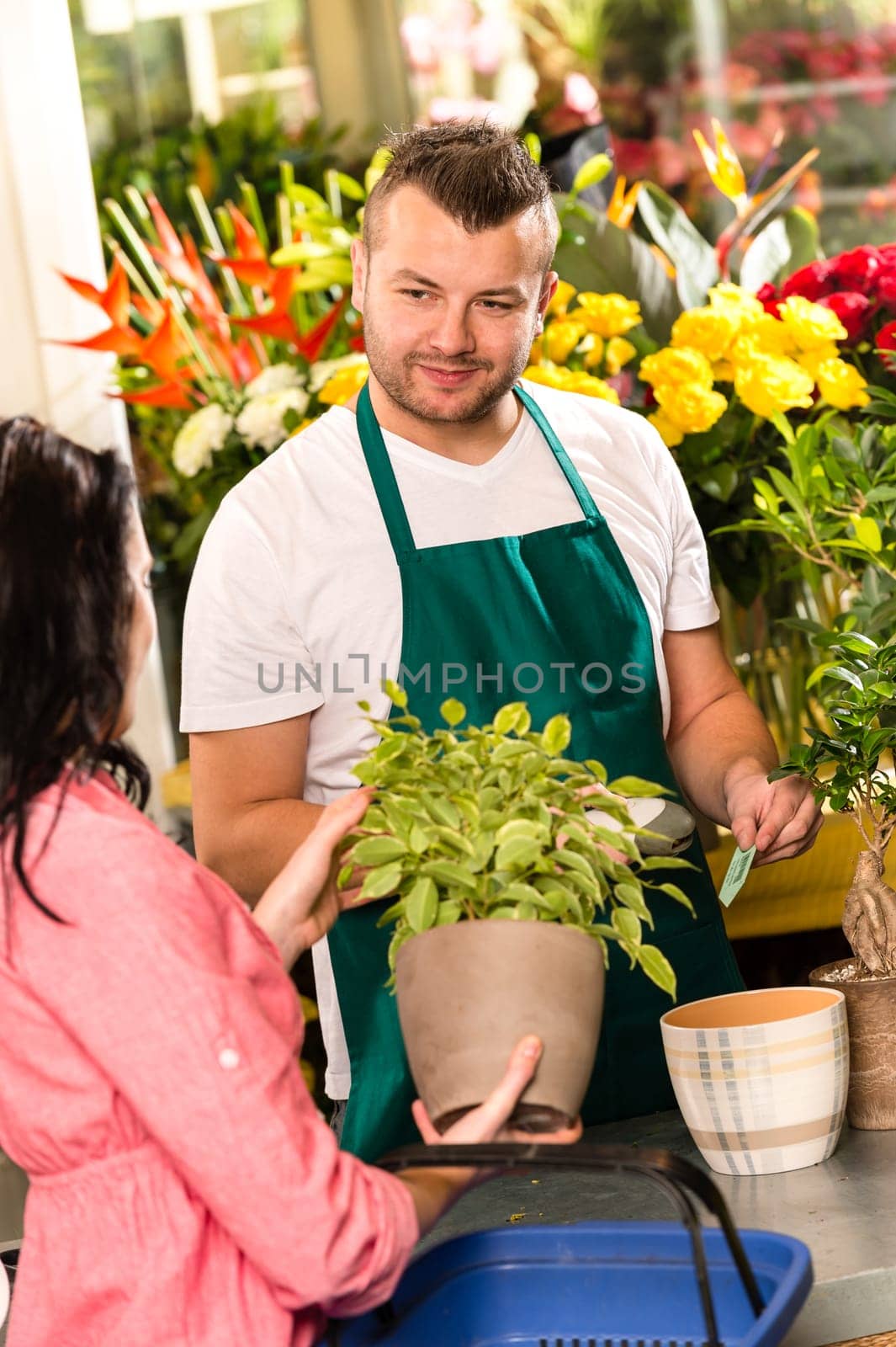 Smiling male florist selling potted plant flower shop market woman