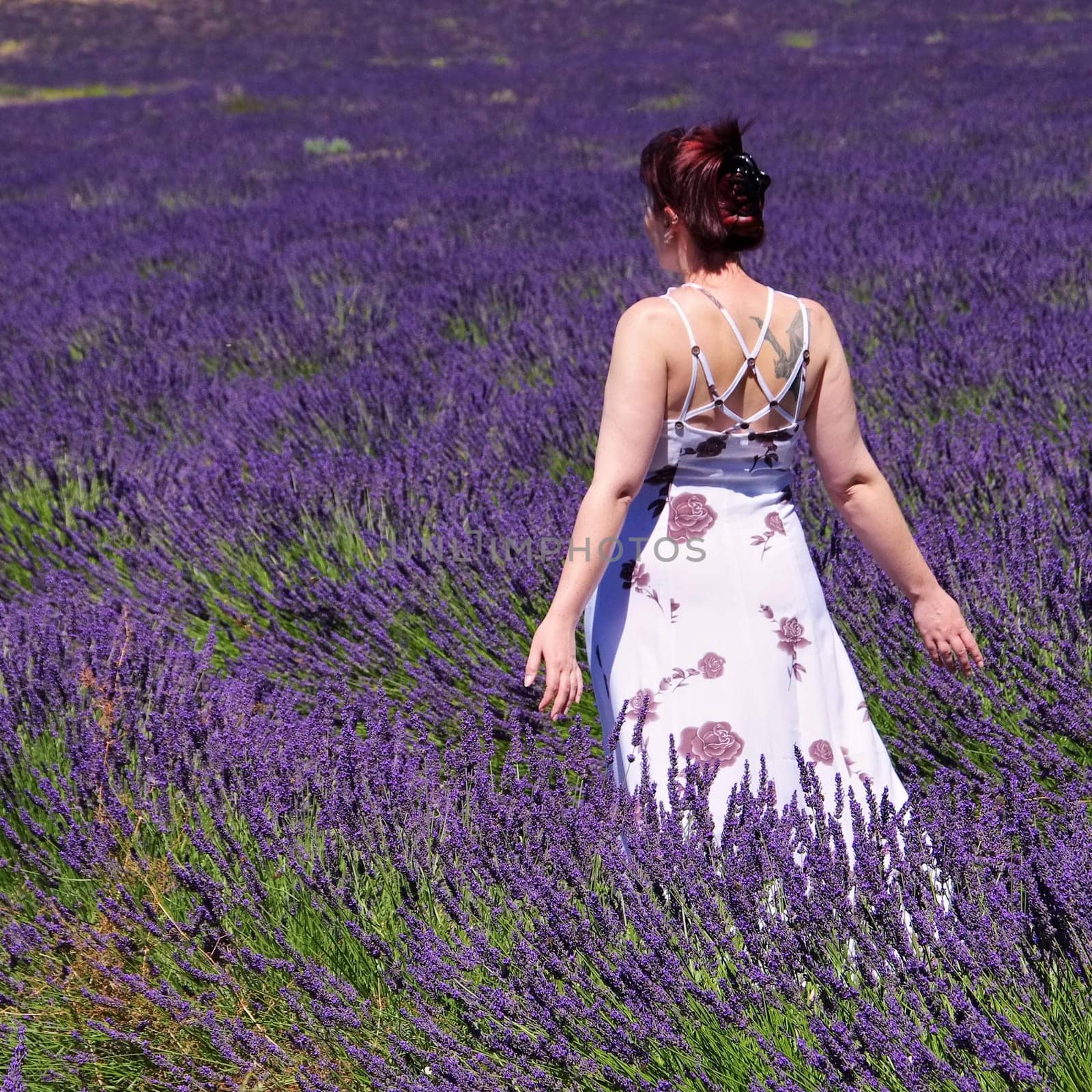 Lavender field and young woman 03