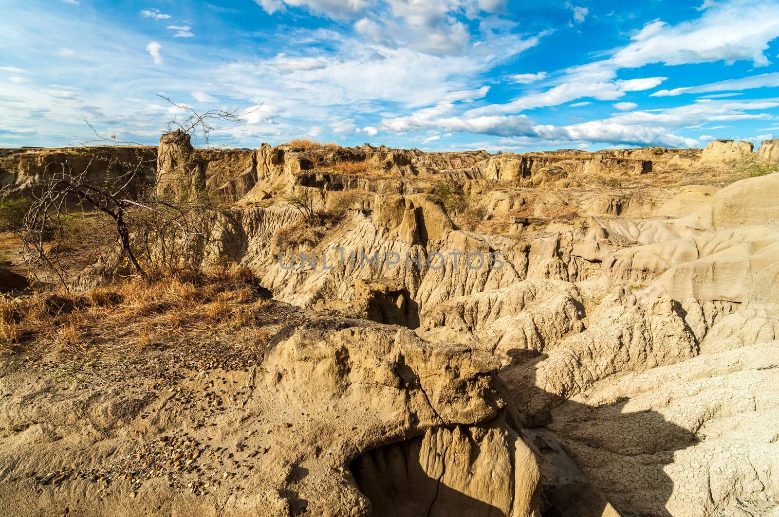 Wide angle view of dry parched desert landscape