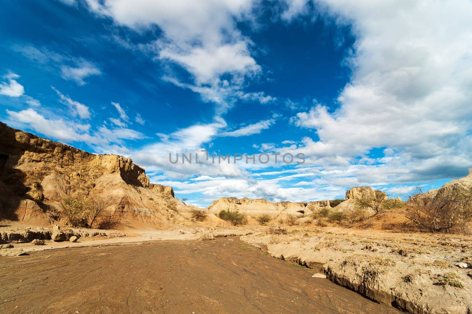 Dry river bed in Tatacoa desert in Colombia