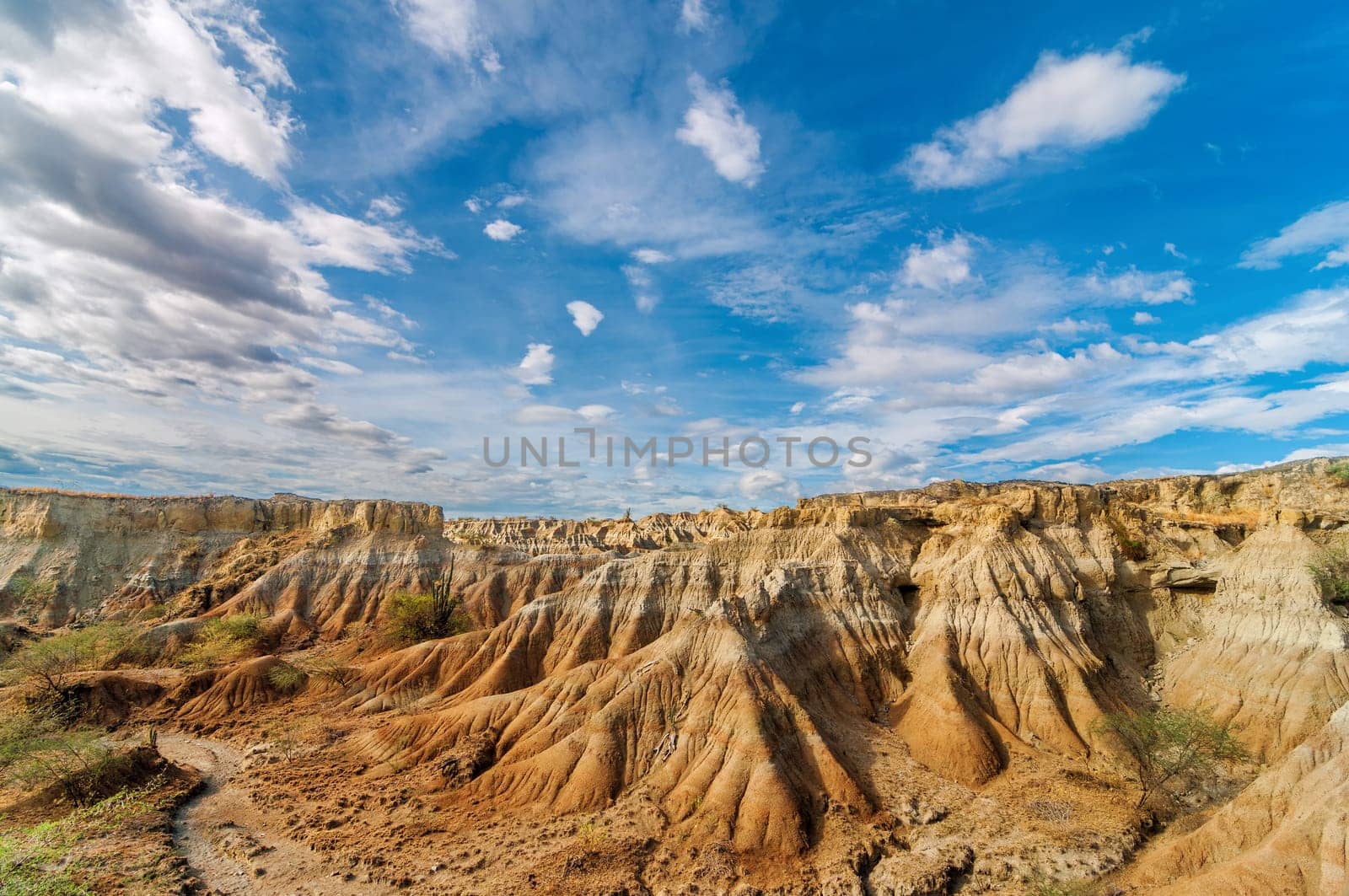 Wide view of desolate desert landscape