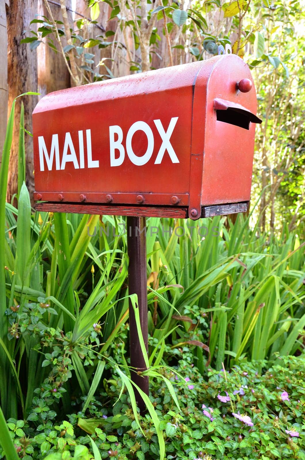 red mail box in the garden