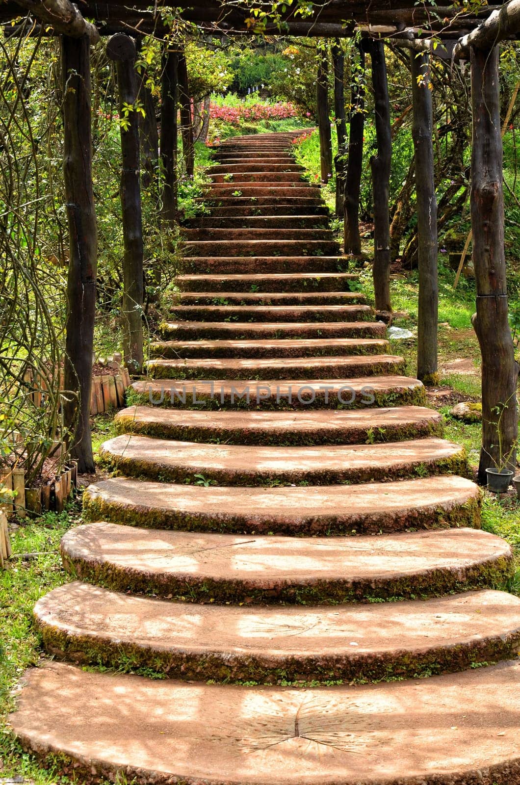 Stairway in garden,ang khang, chiangmai, thailand