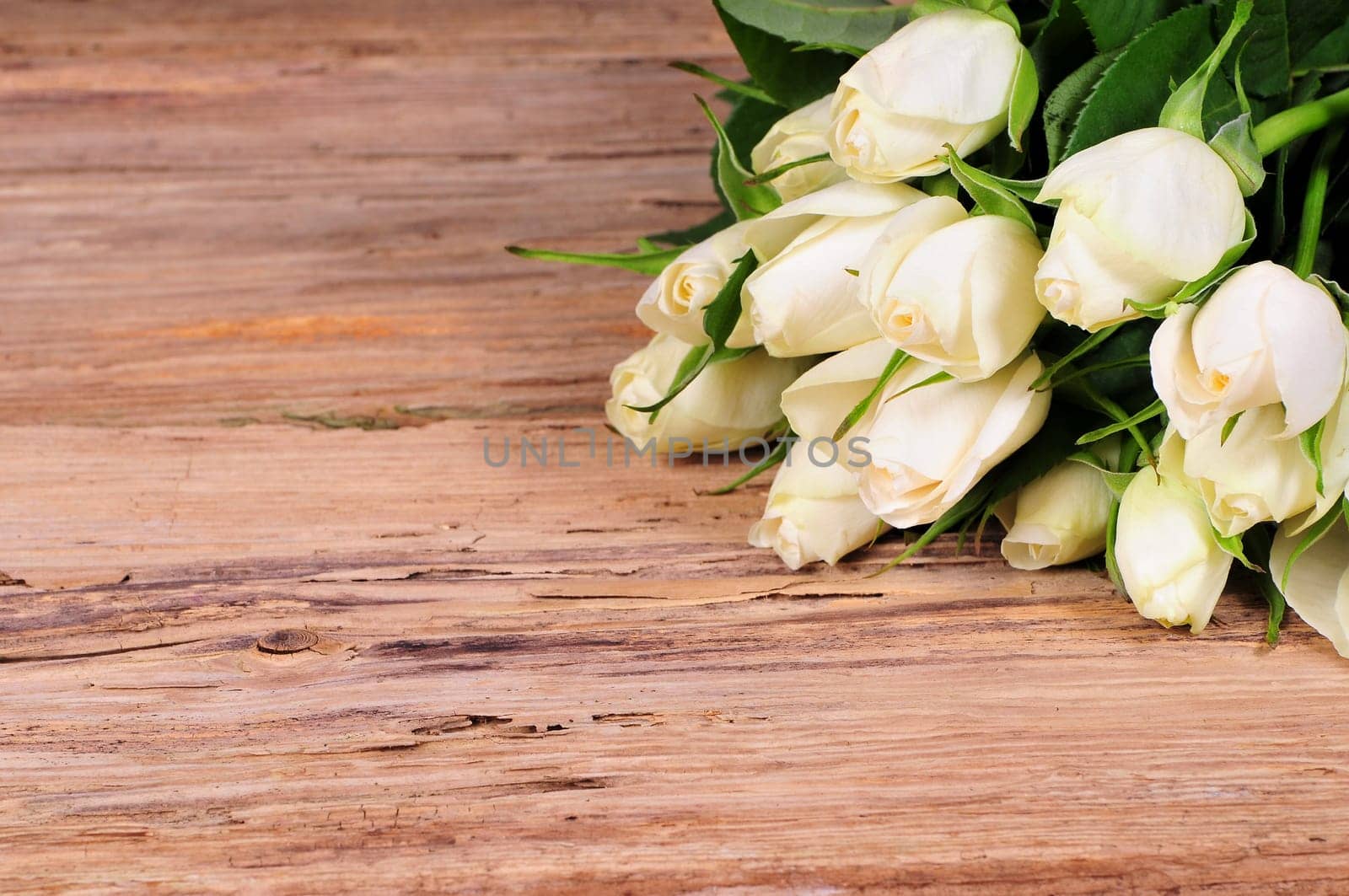 Roses on old wood