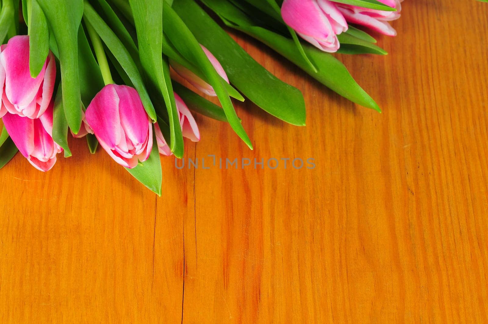 Tulips in Spring Table Decoration