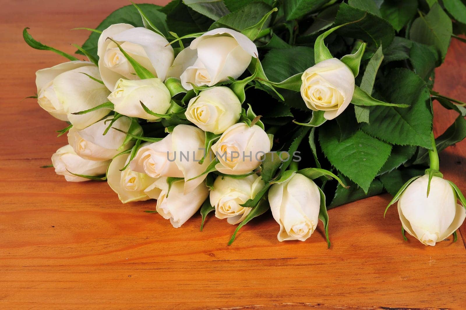 Roses on old wood
