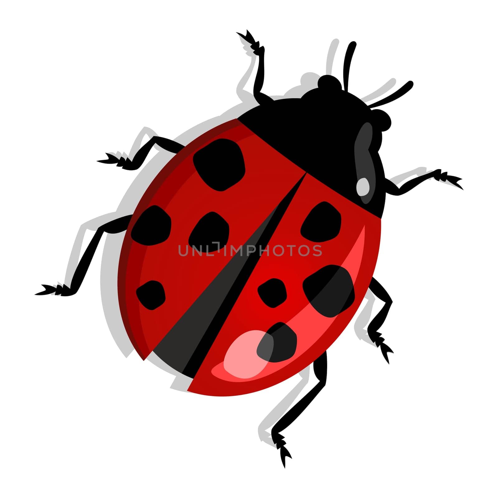 Red beetle isolated over white. Vector file layered for easy manipulation and custom coloring.