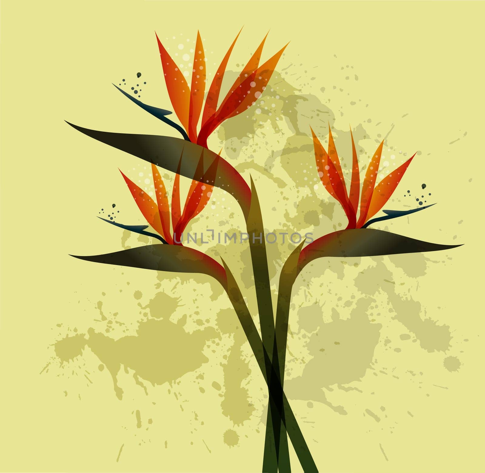 Spring time contemporary grunge bird of the paradise flowers. EPS10 file version. This illustration contains transparencies and is layered for easy manipulation and custom coloring