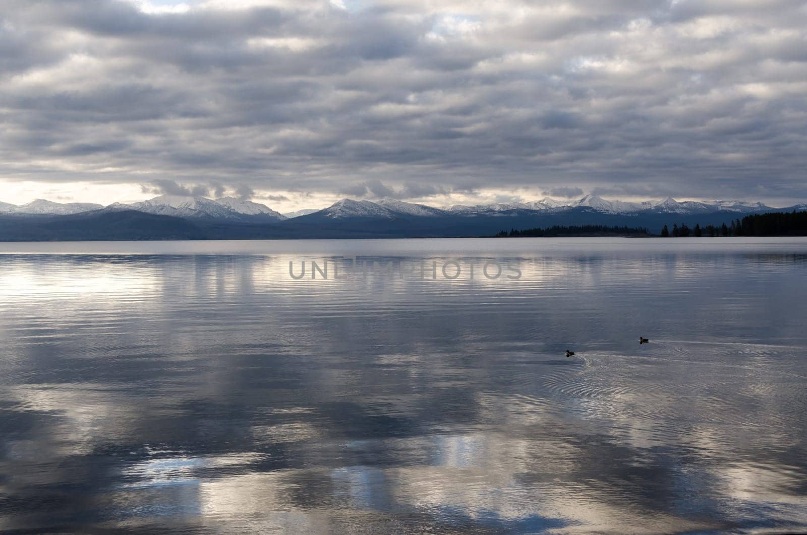 Sunrise on Yellowstone Lake in Wyoming in the United States of America