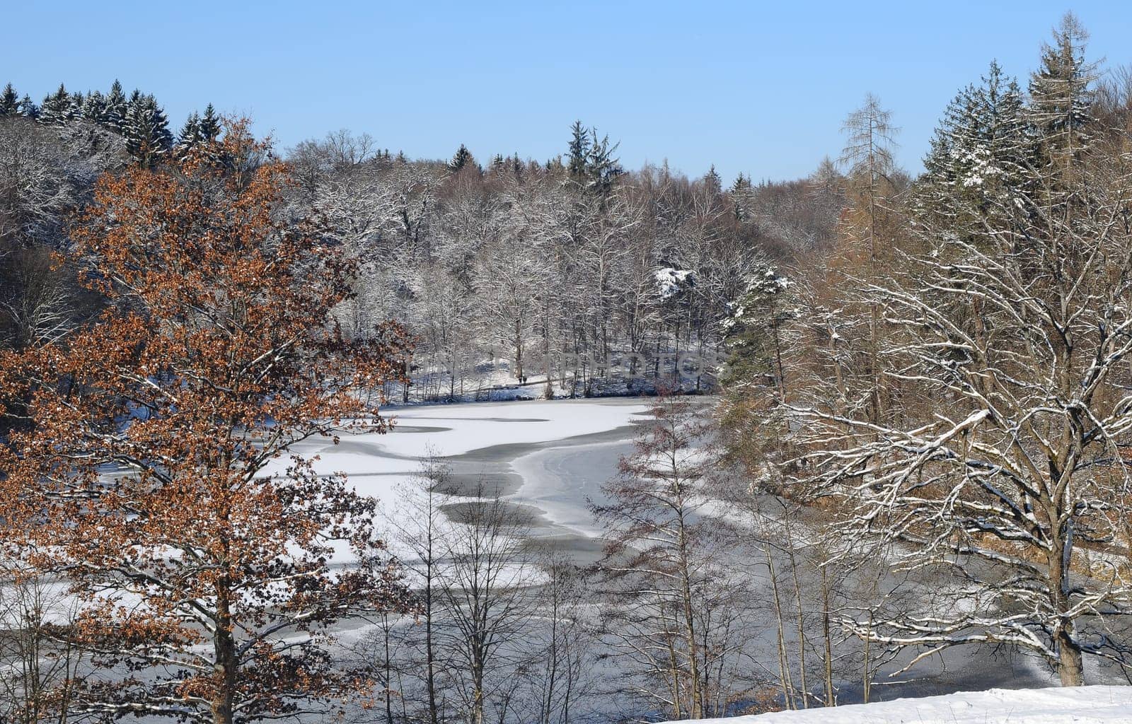 Winter at Stuttgart's Bear Lake