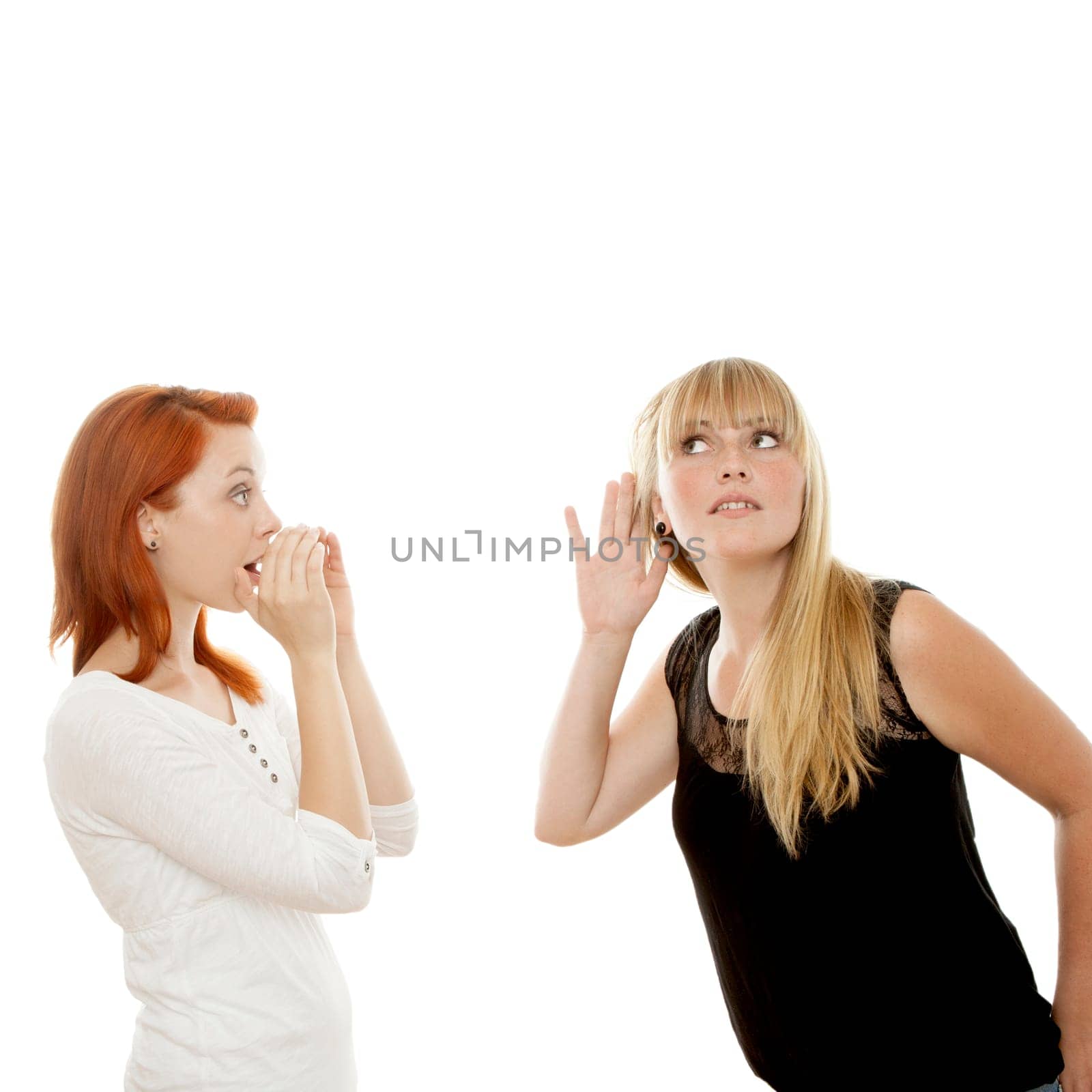 young beautiful red and blond haired girls in front of white background