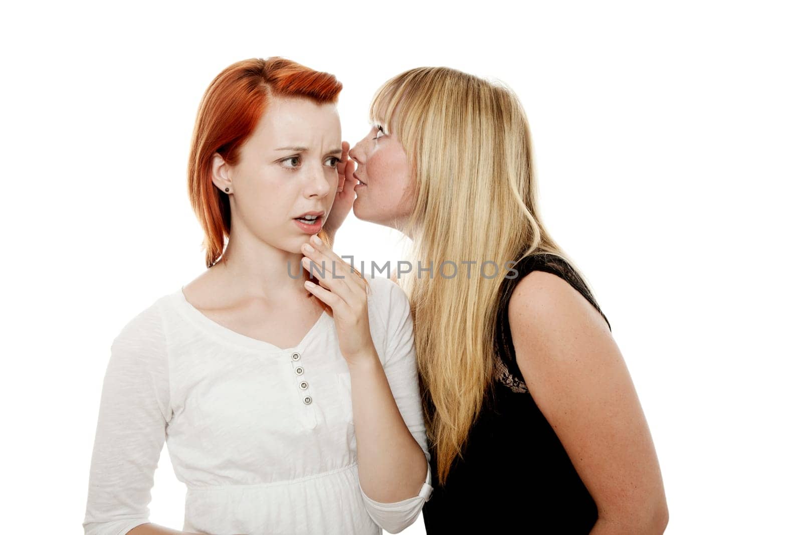 young beautiful red and blond haired girls in front of white background