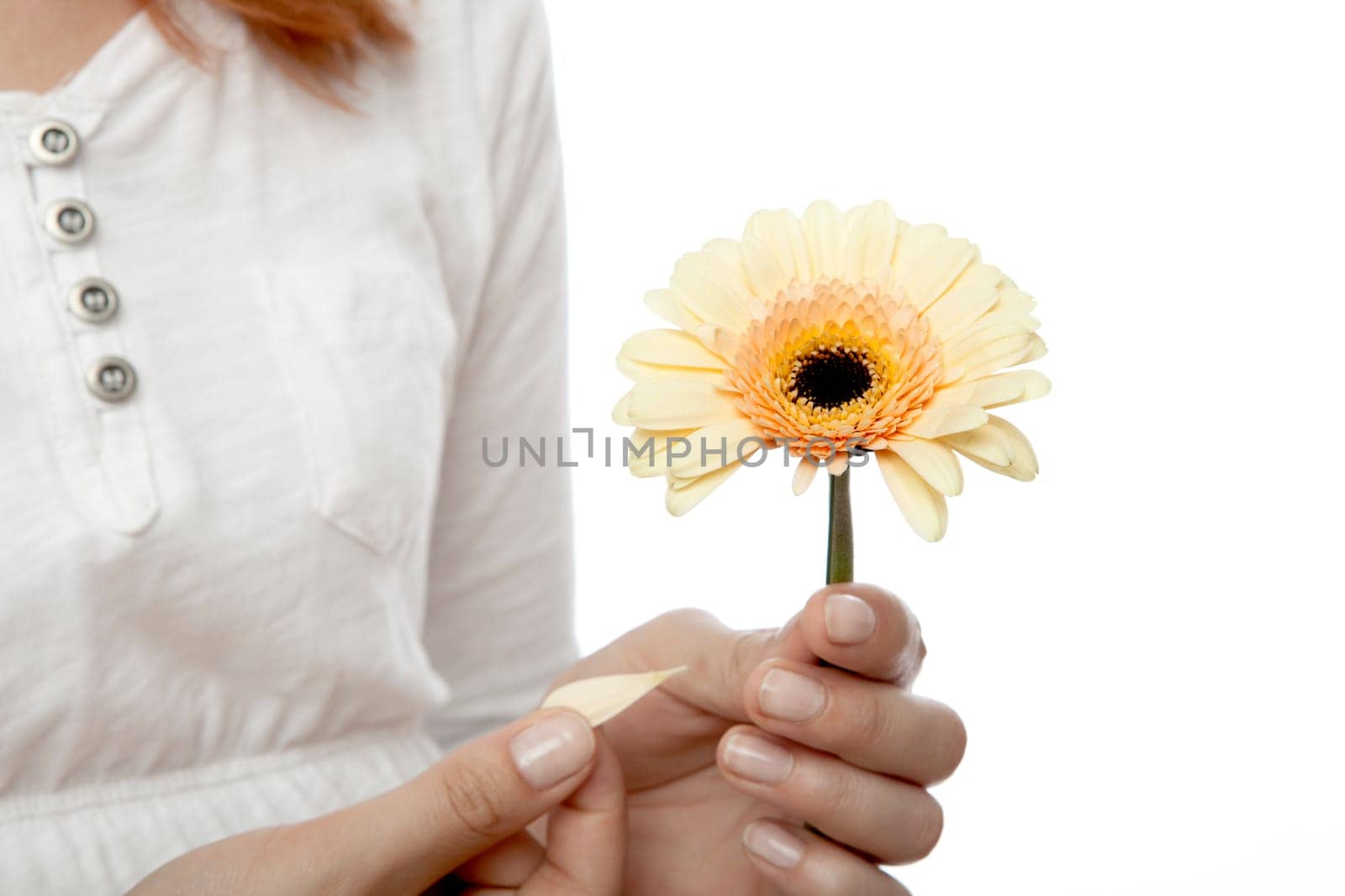 young beautiful red haired girl is playing he loves me not in front of white background