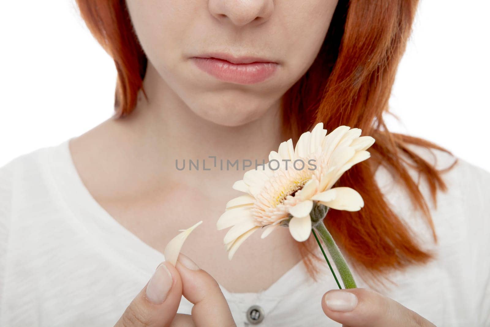 young beautiful red and blond haired girls in front of white background