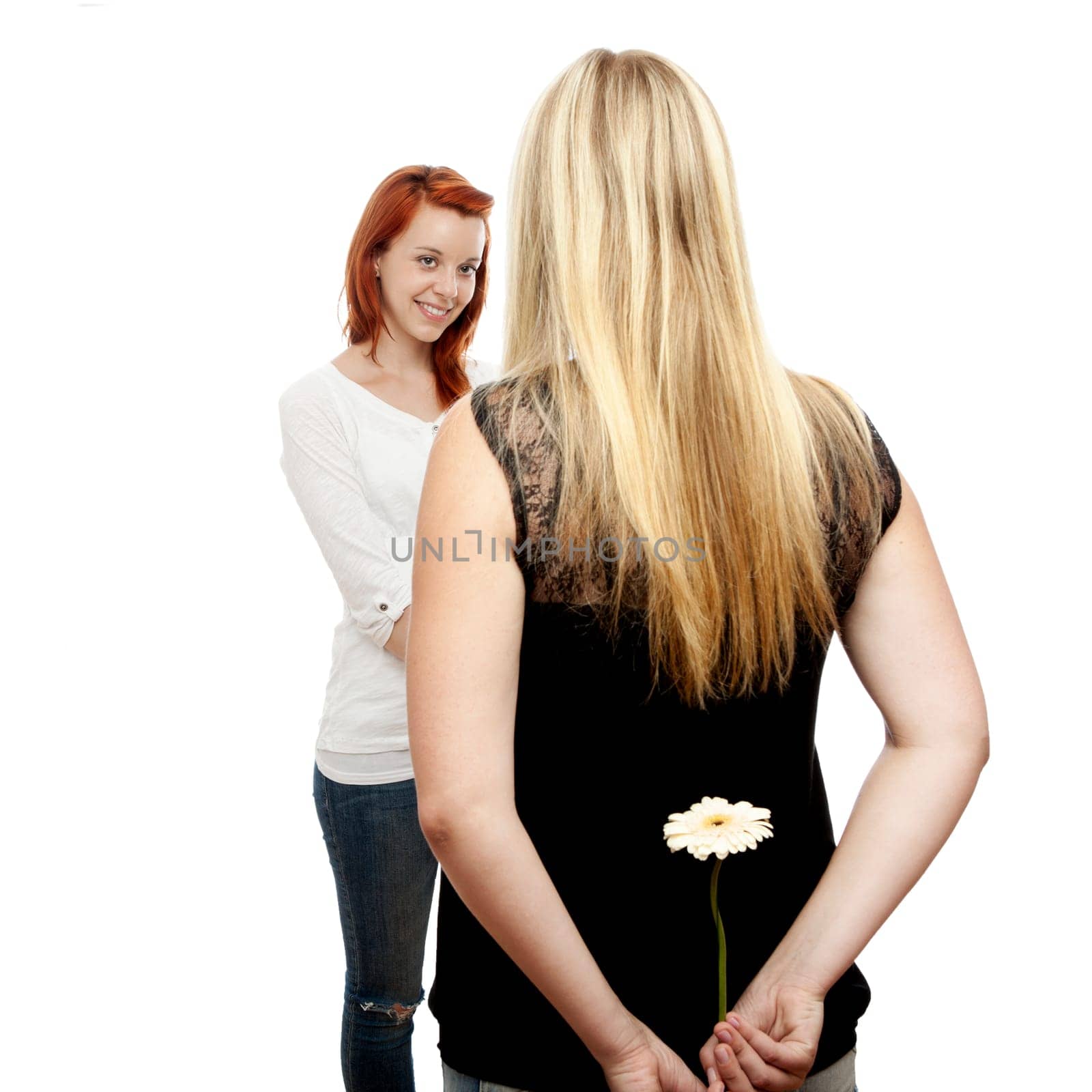 young beautiful red and blond haired girls in front of white background