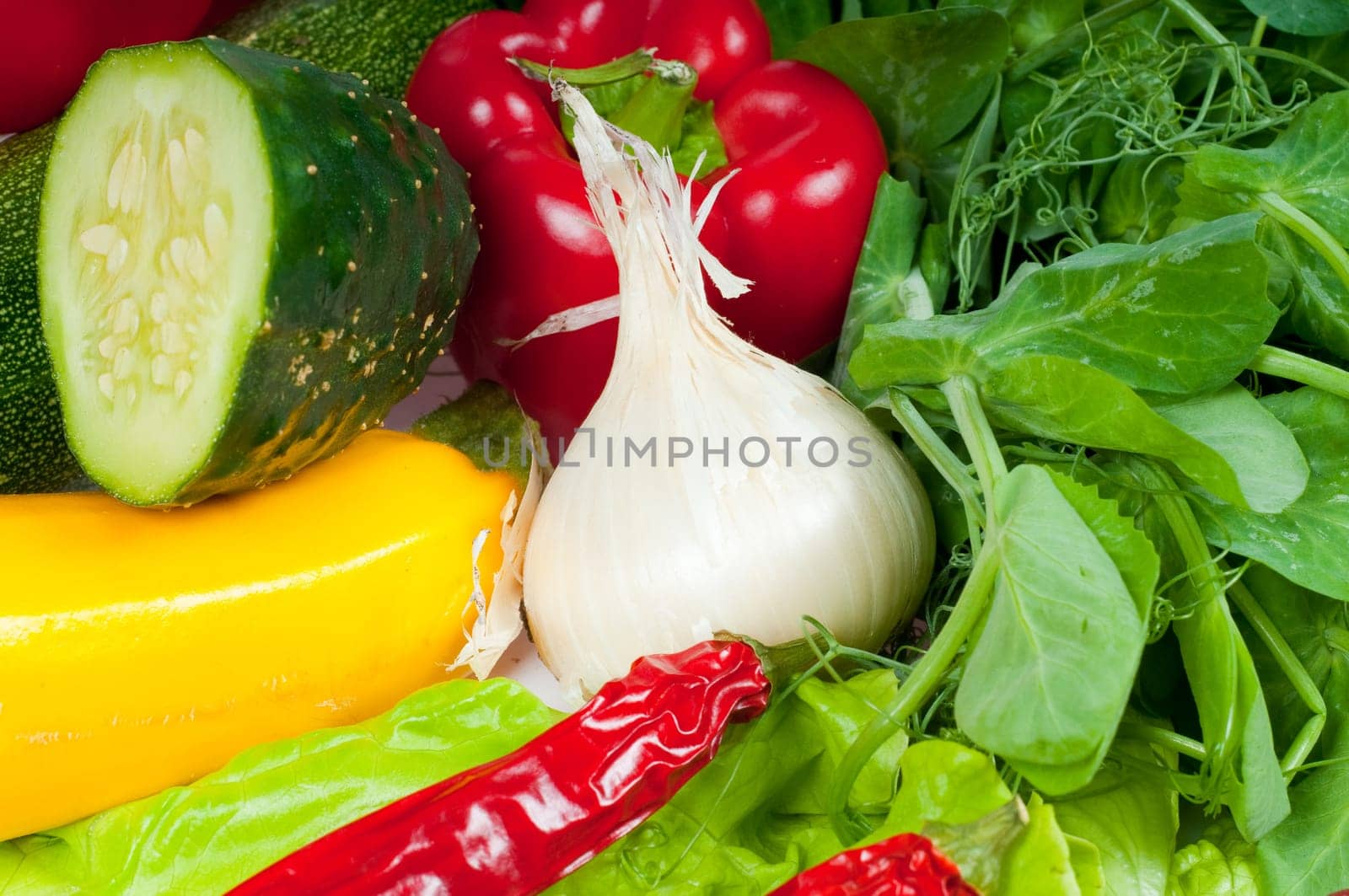 Shot of different sorts of vegetables in studio