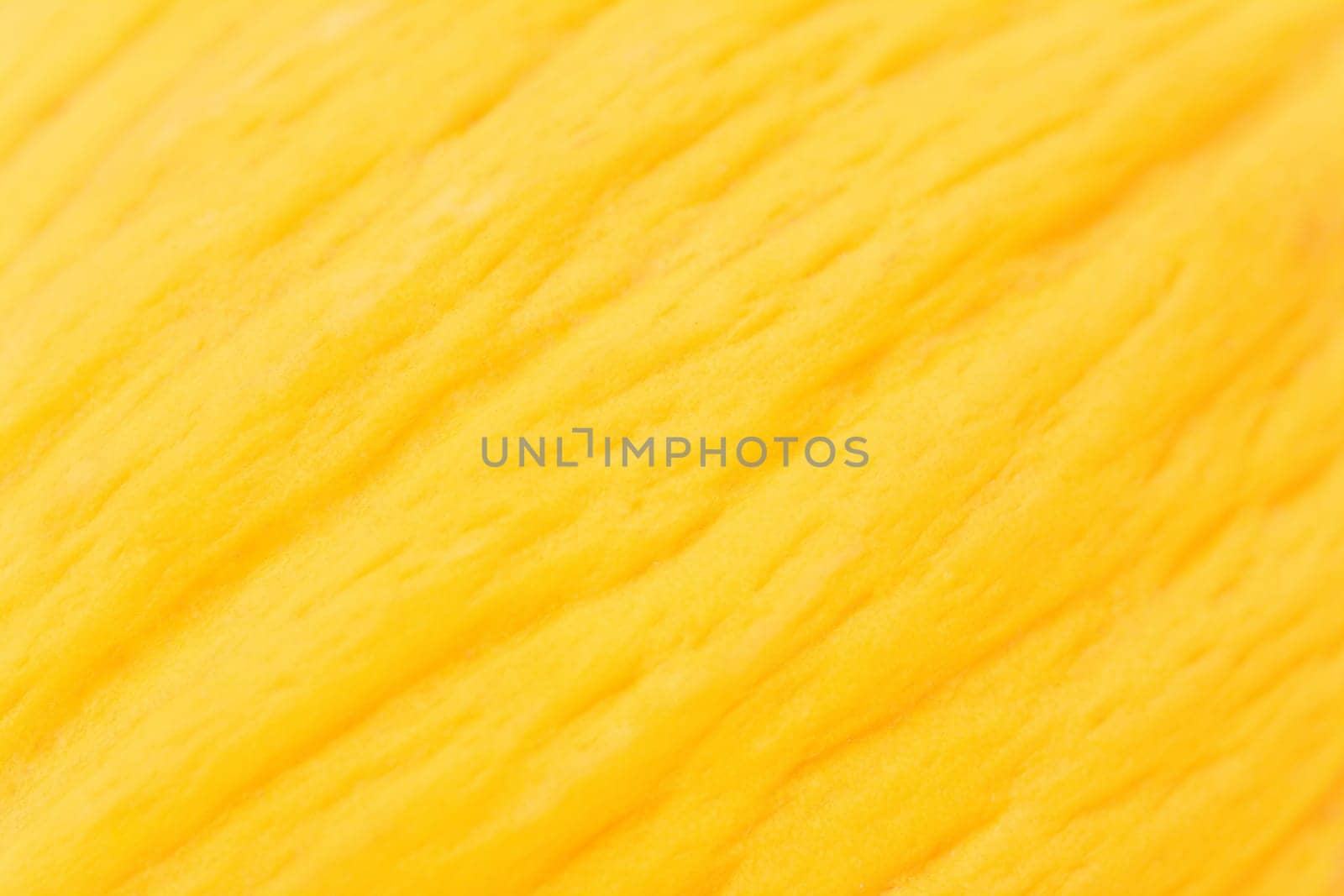 Yellow melon peel background, sweet fruit