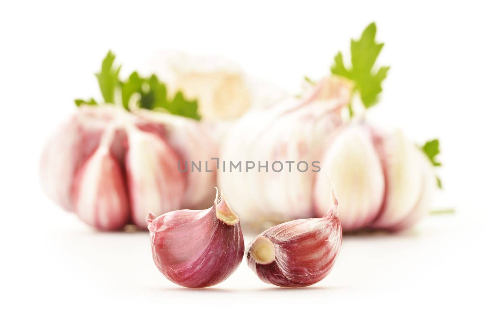 Fresh garlic with parsley isolated on white