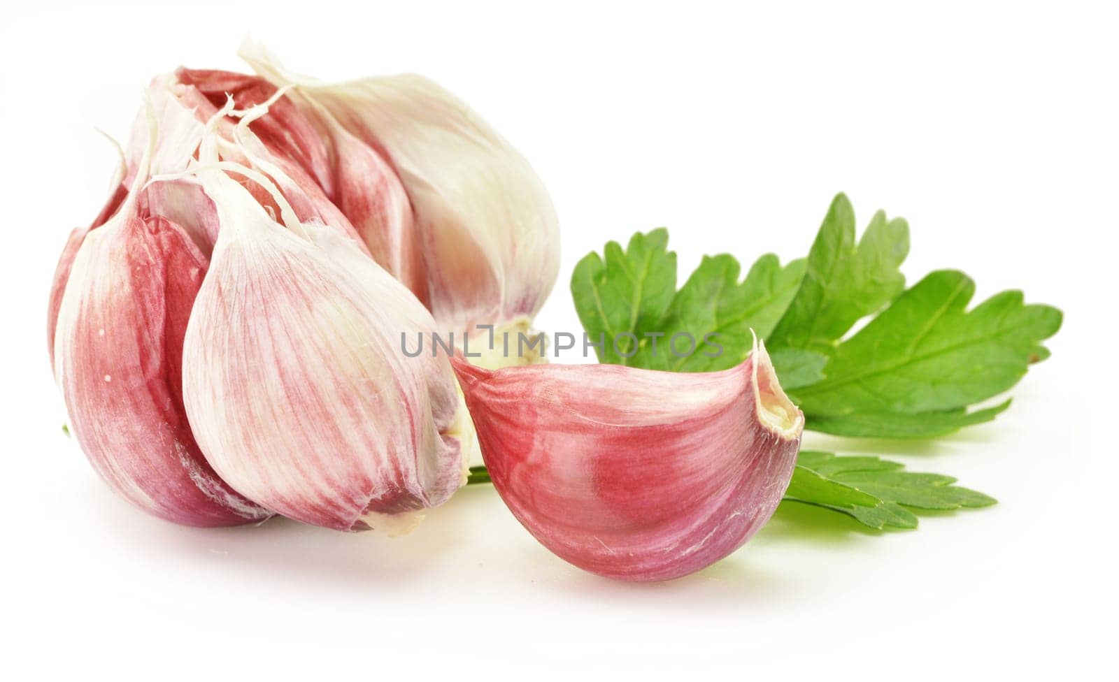 Fresh garlic with parsley isolated on white
