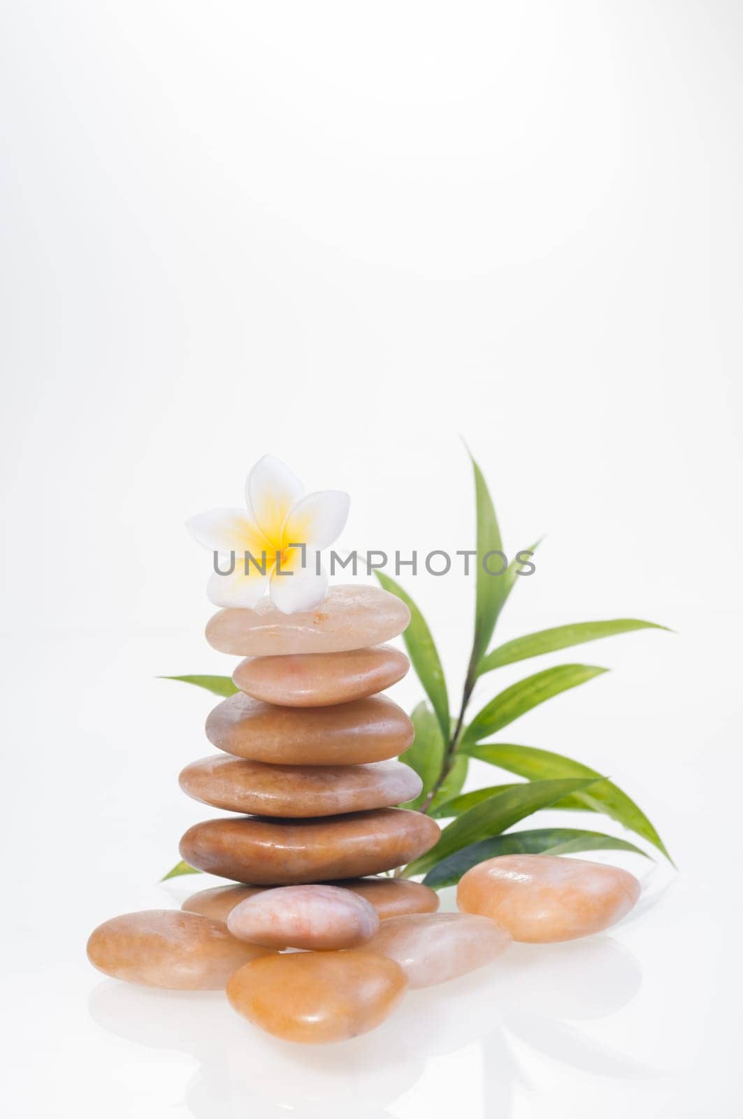 A plumeria on yellow river stone and a bamboo plant at the background
