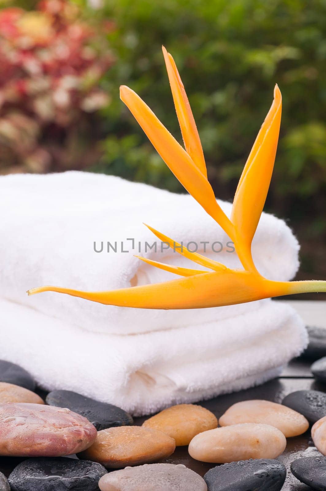 Exotic spa holiday with zen stones and orange heliconia flower