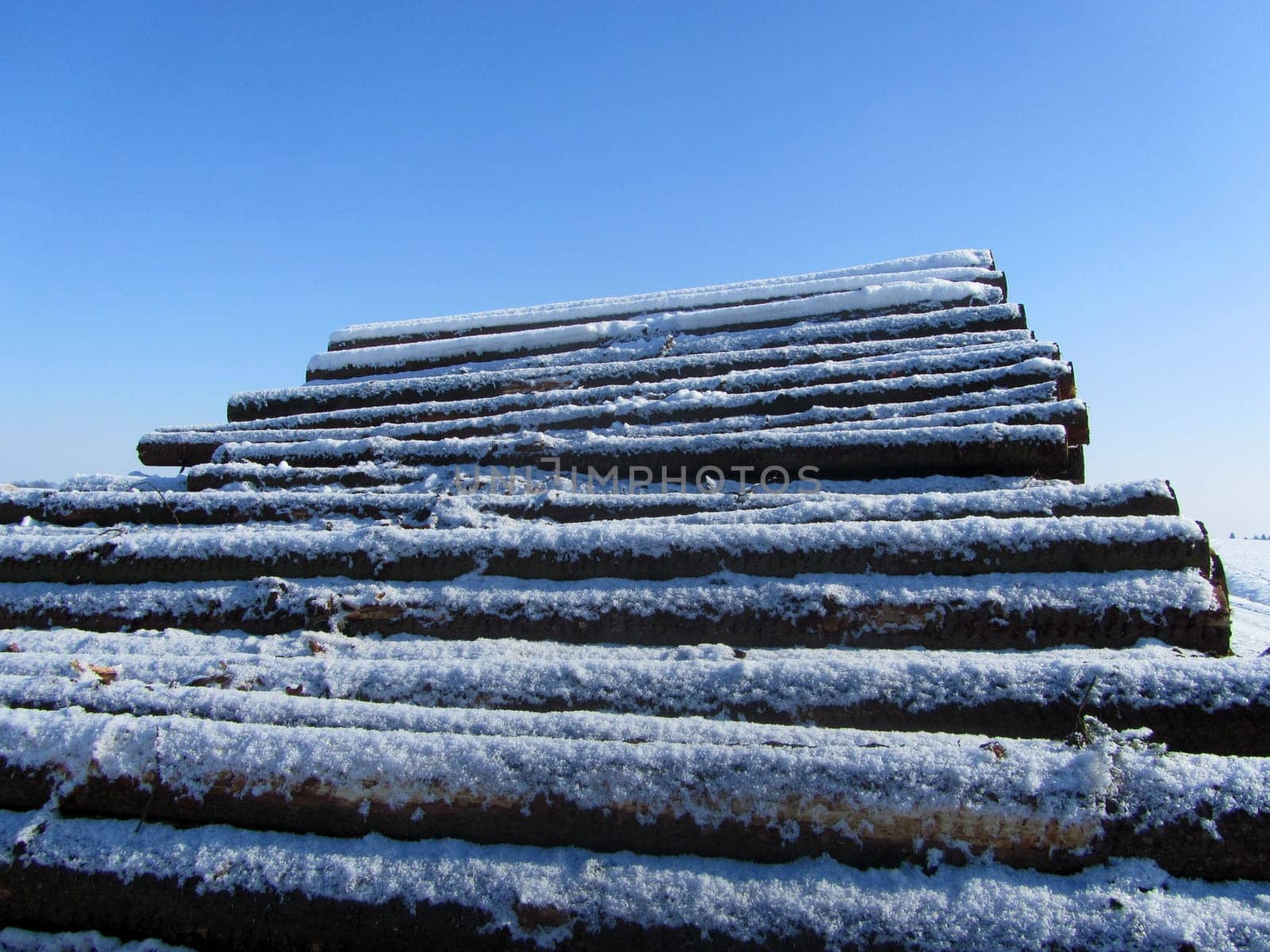 Wood stacks