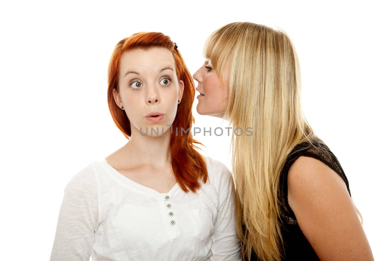 young beautiful red and blond haired girls in front of white background