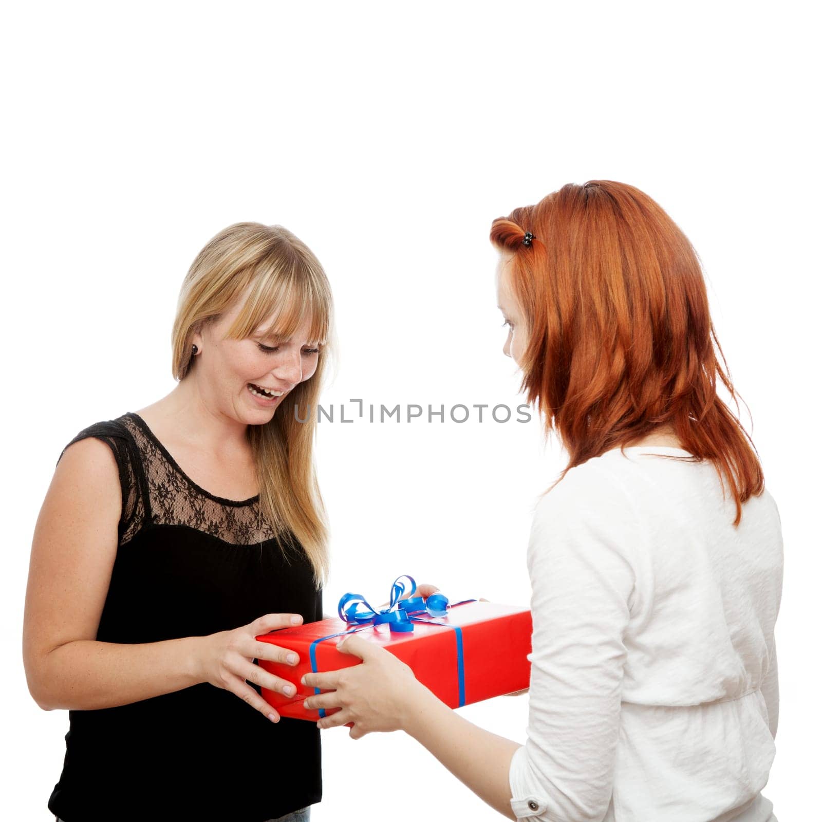 young beautiful red and blond haired girls in front of white background