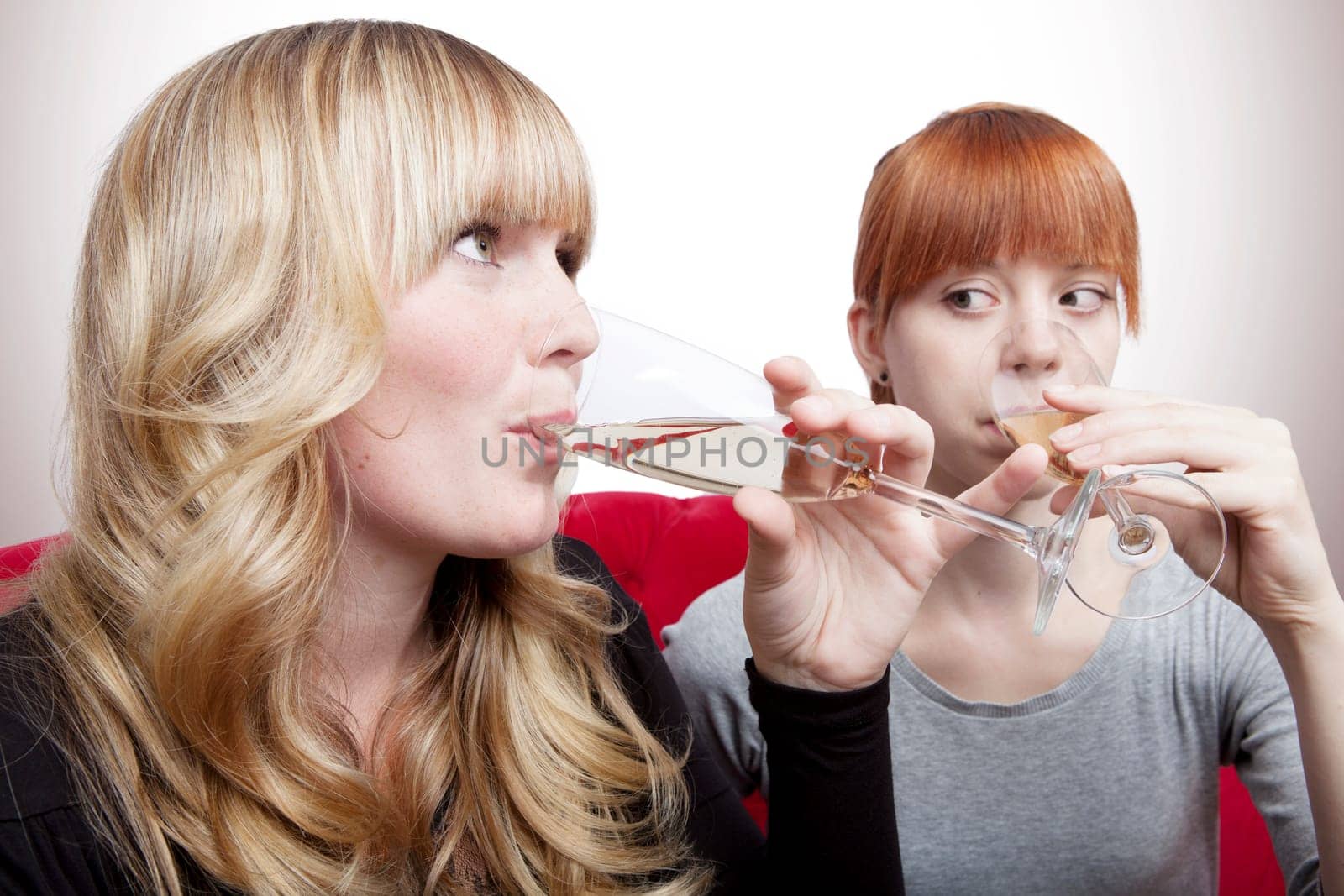 young beautiful blond and red haired girls drink champagne on red sofa in front of grey background