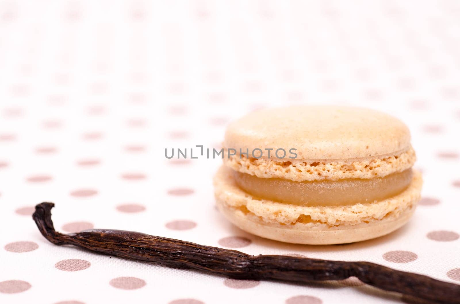 Vanilla bean and French specialty macaron