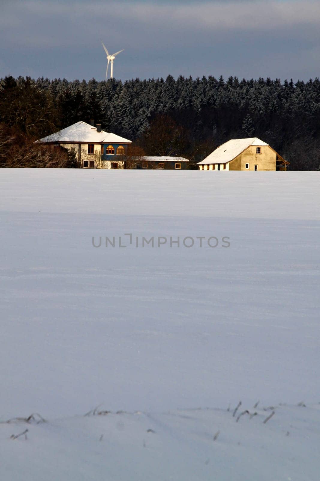 Homestead in winter