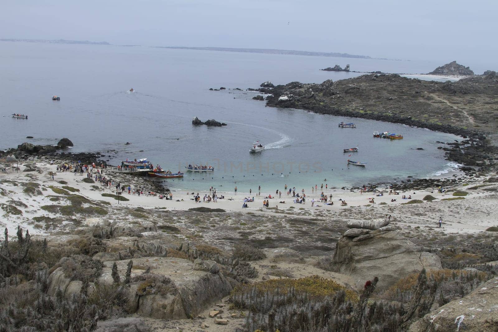Isla Damas near La Serena Chile