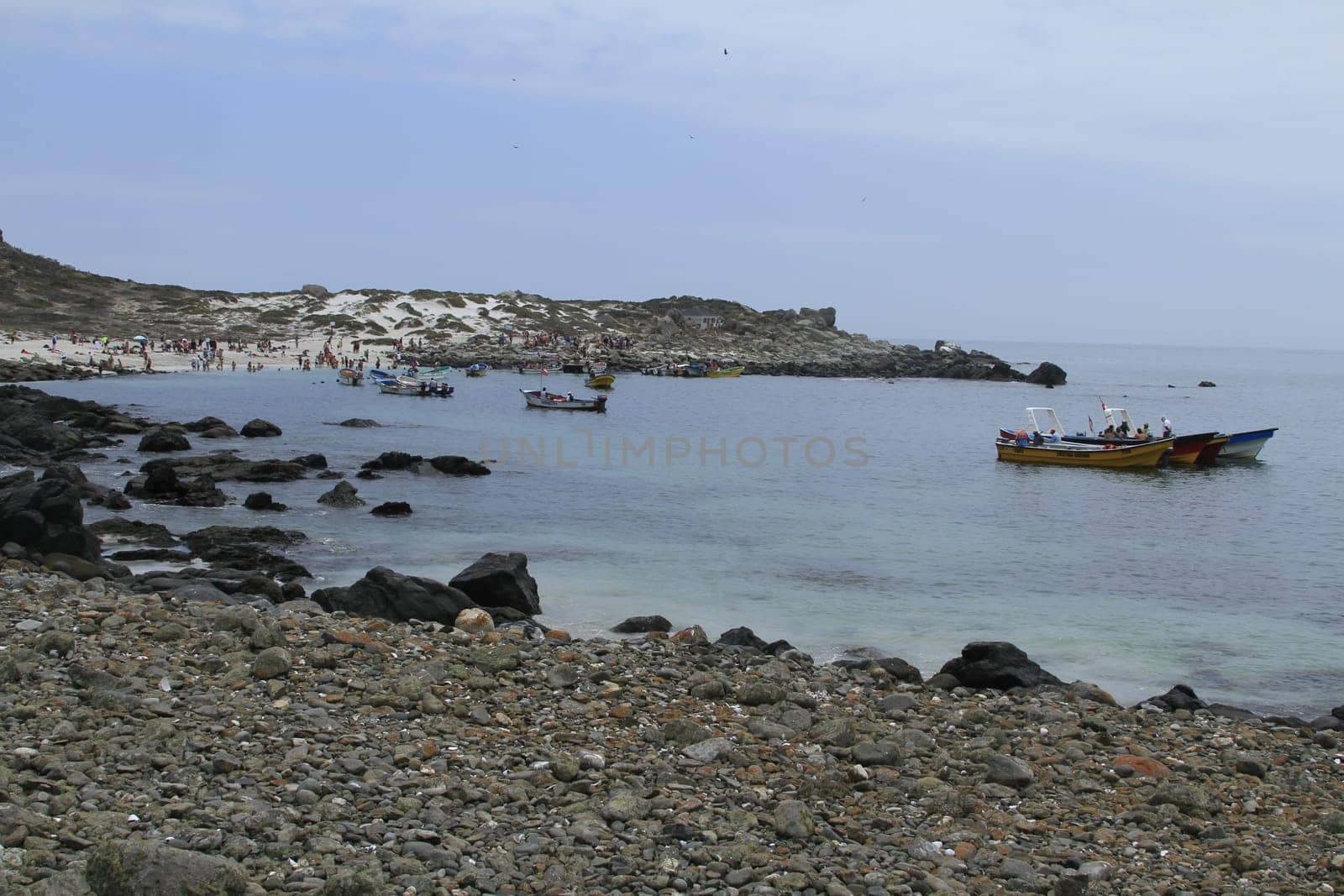 Isla Damas near La Serena Chile