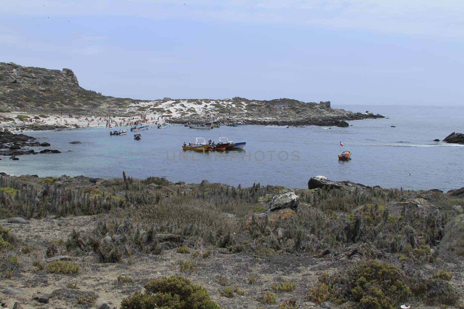 Isla Damas near La Serena Chile