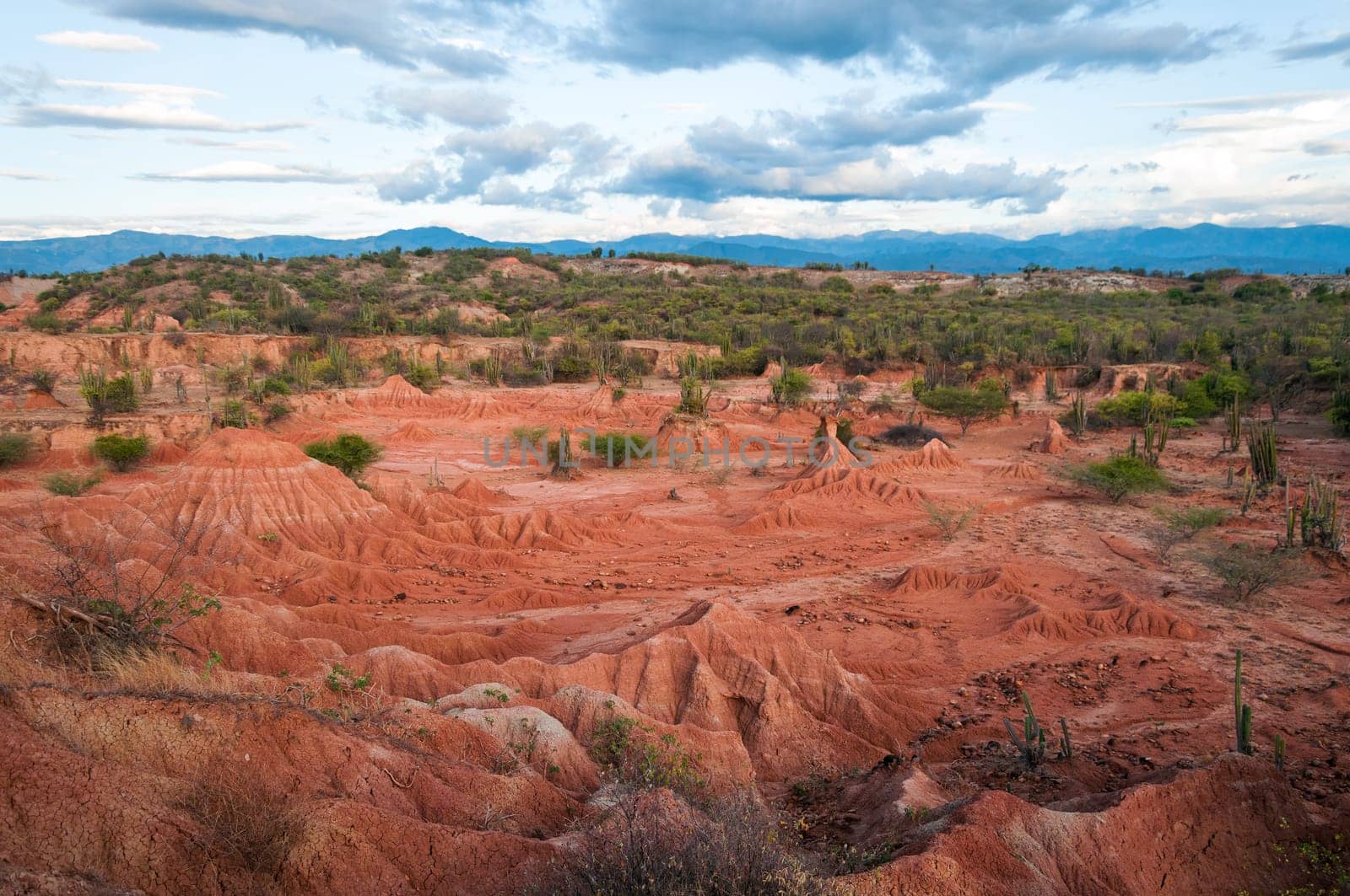Beautiful red and green landscape of Tatacoa Desert, Colombia