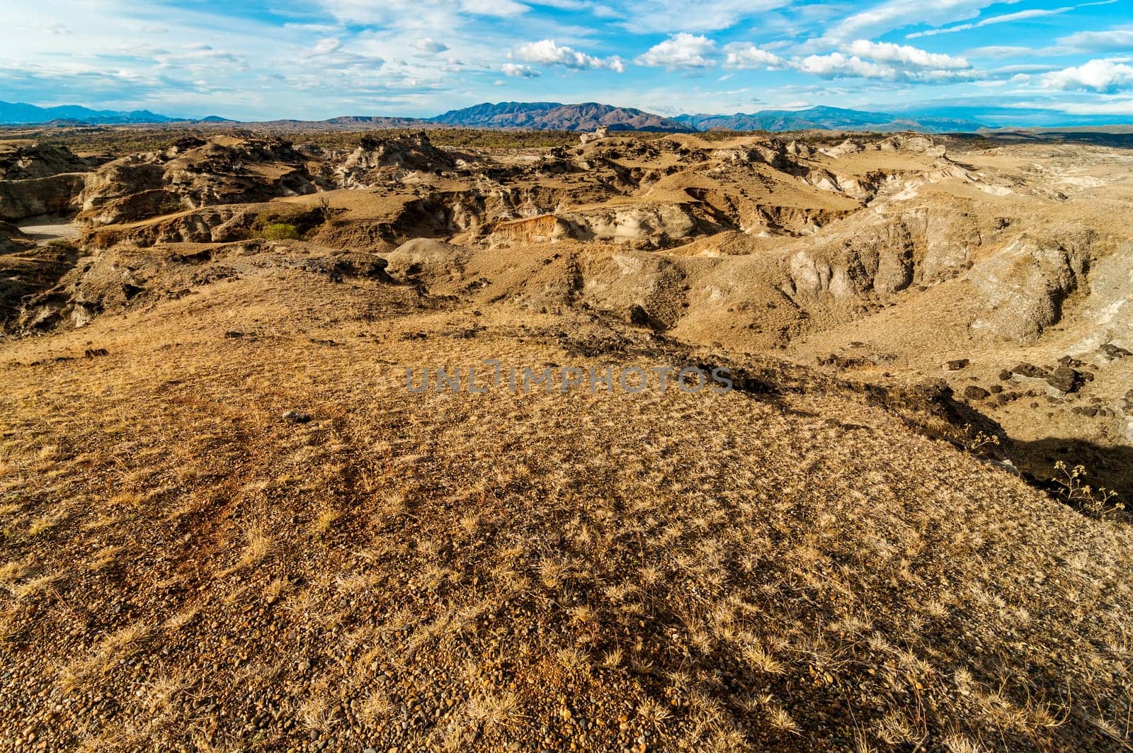 Dry desolate view of a remote isolated desert