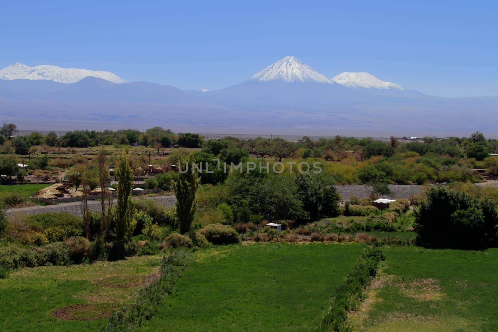 View of oasis from San Pedro De Atacama