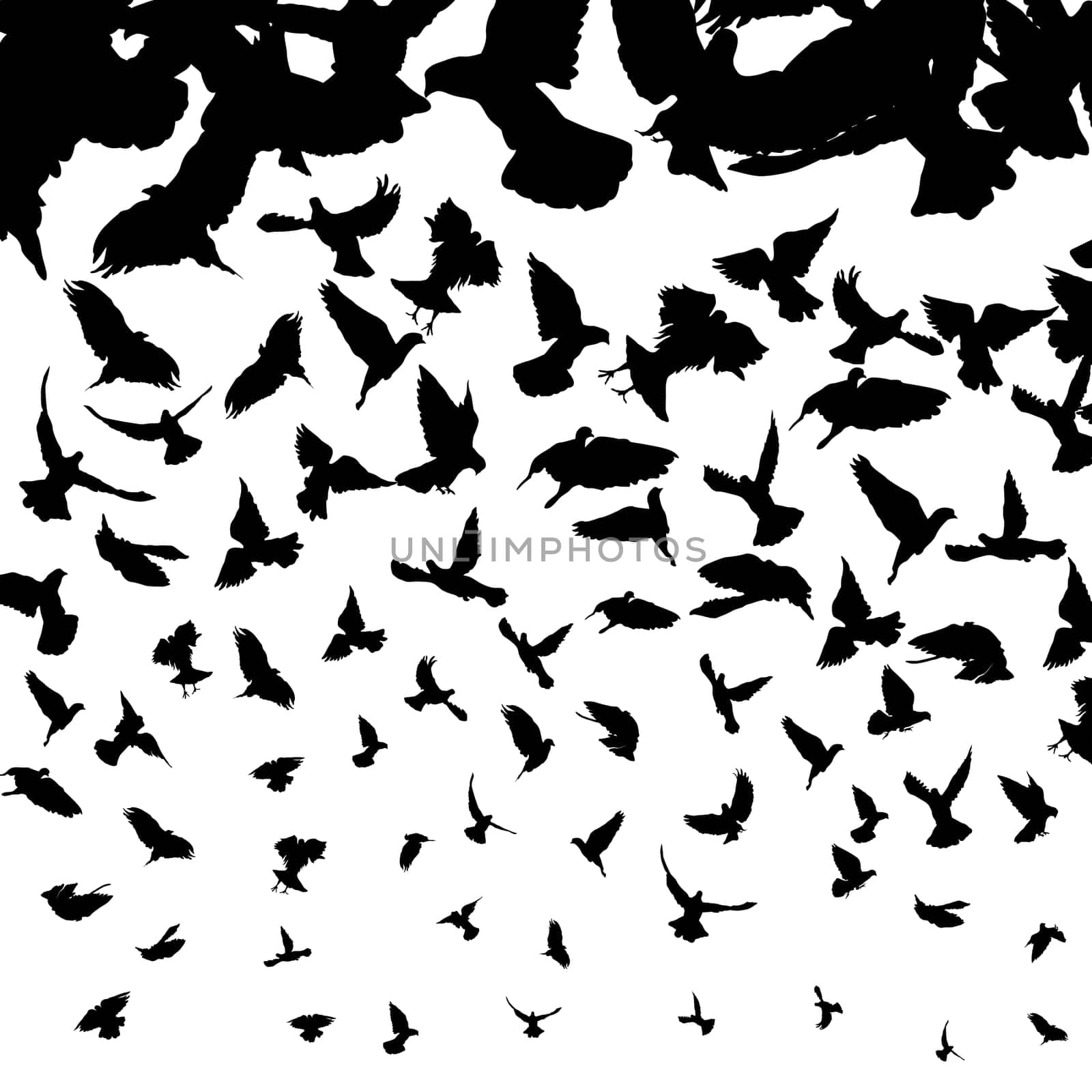 Background illustration with flying bird silhouettes