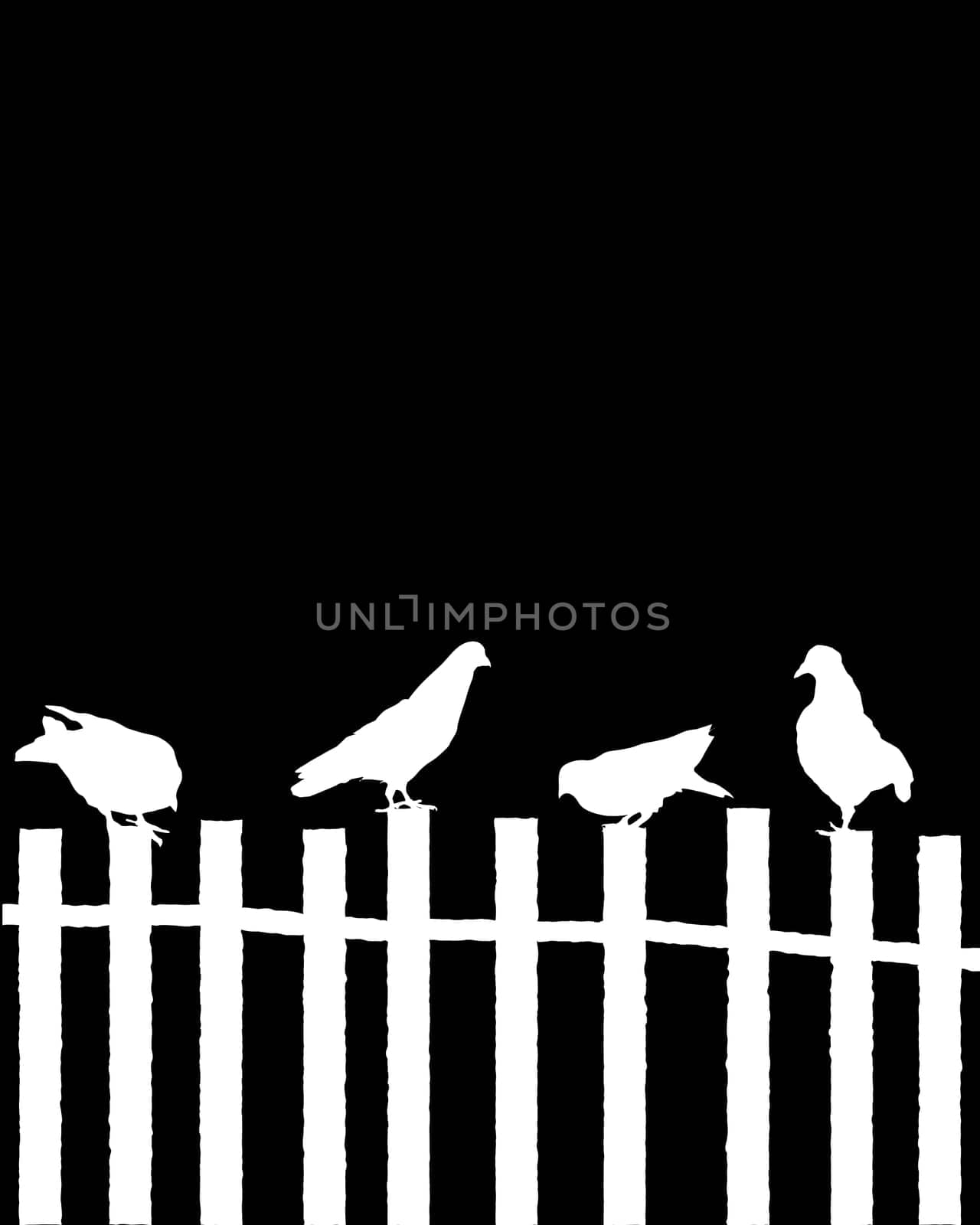 High contrast composition with pigeons sitting on top of a wooden fence and room for text