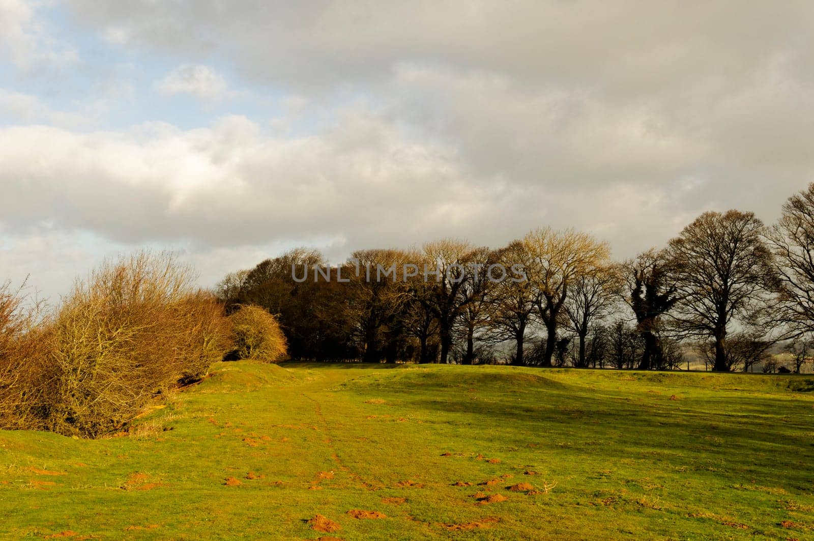 British rural landscape in winter by a sunny day