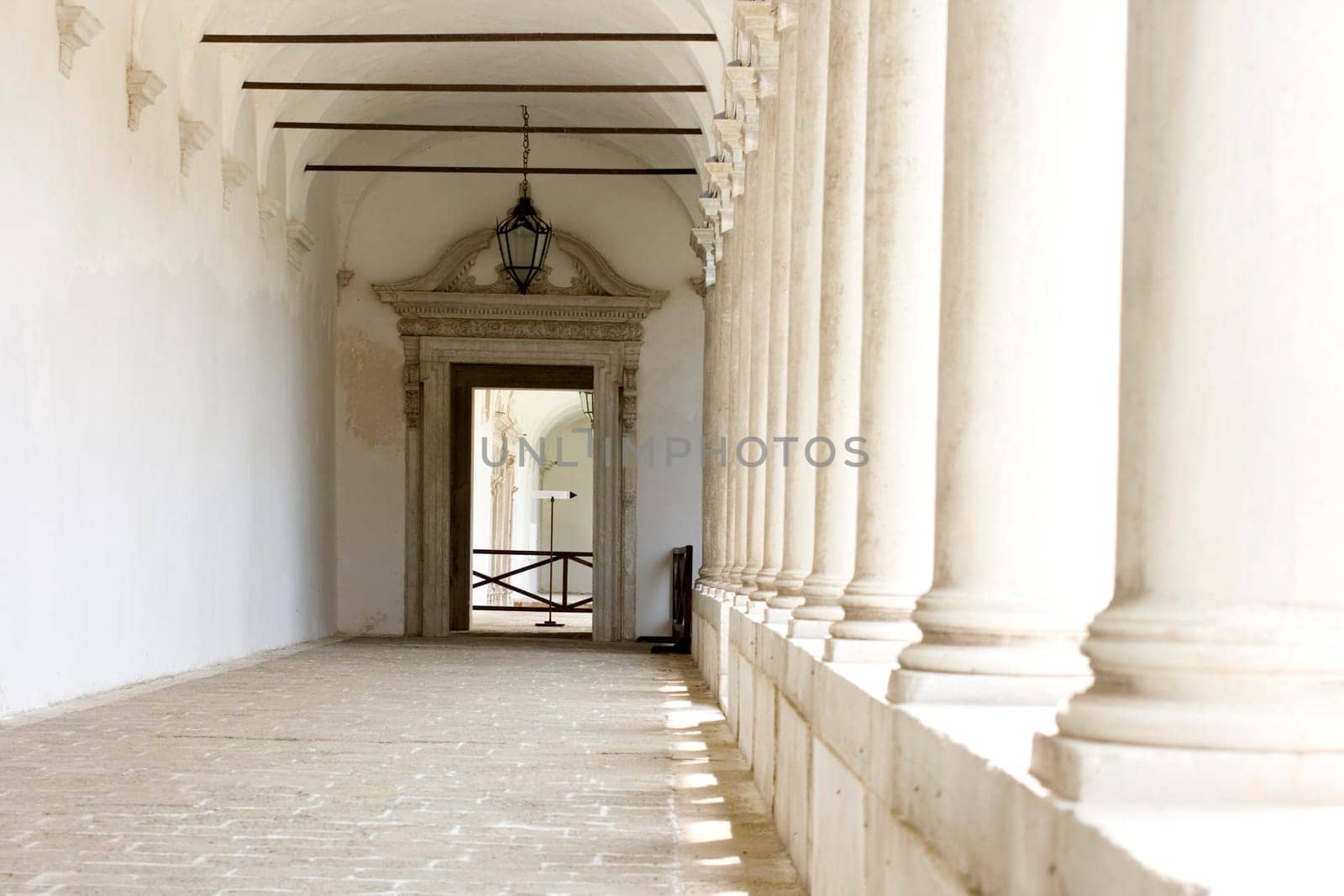 Columns in the Venice yard