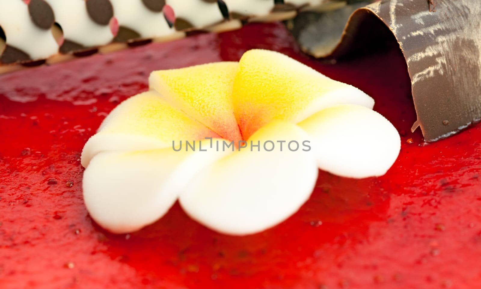 Detail of a sugar flower and chocolate decoration over red strawberry jelly background on the top of a cake.
