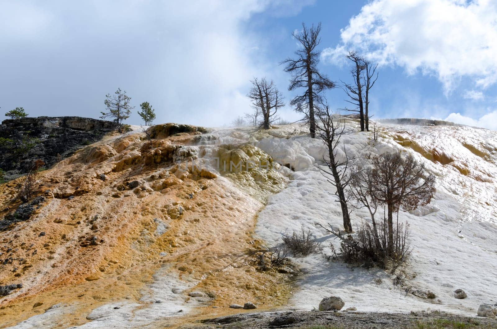 limestone and sulfur on the rocks at Mammoth Hot Springs
