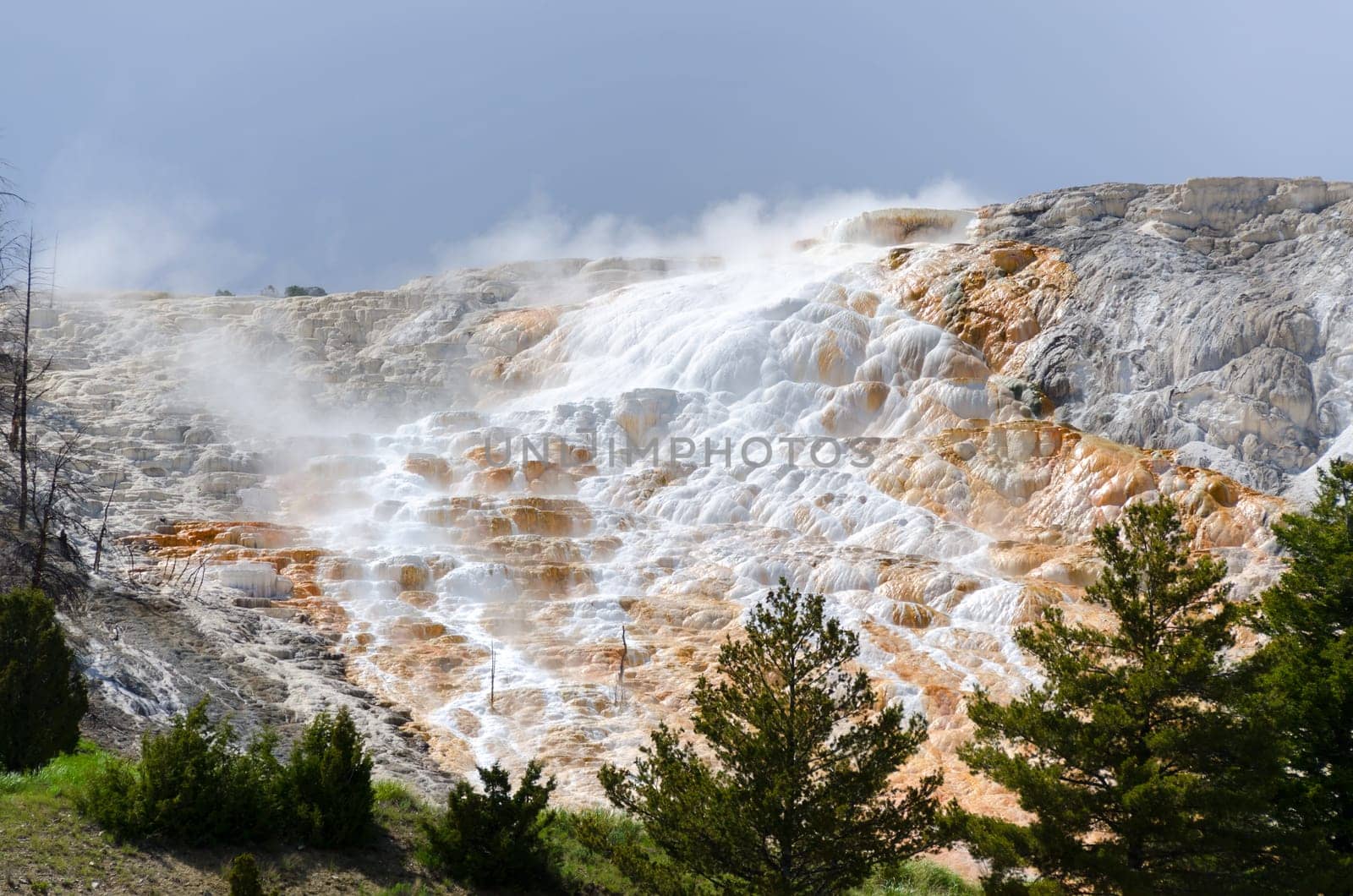 rocks of sulfur fuming at Mammoth Hot Springs in Yellowstone , Wyoming