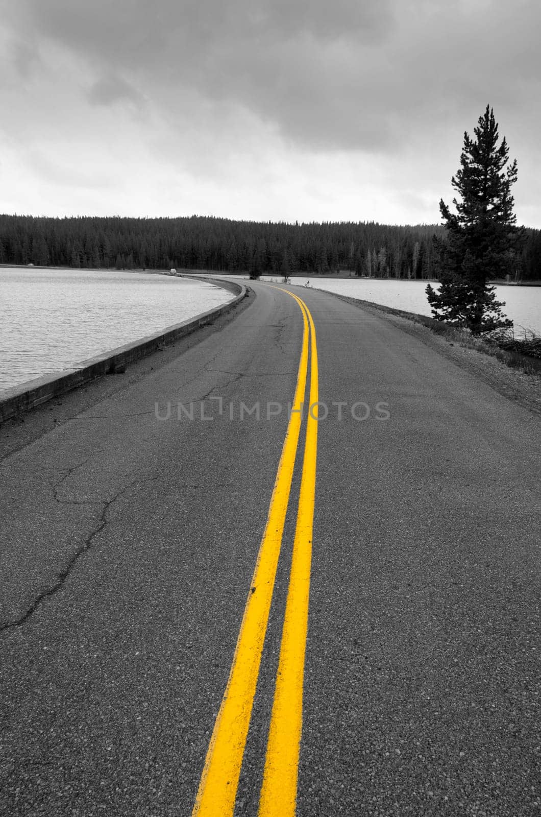 road on Yellowstone Lake in Yellowstone National Park in Wyoming