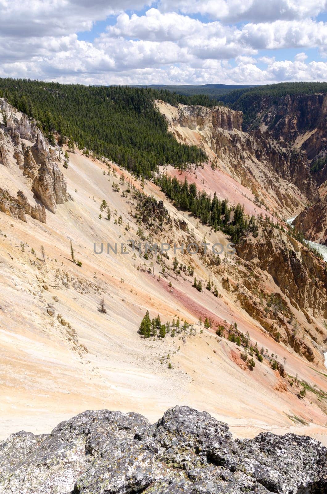 Canyon near the falls Yellowstone in Wyoming