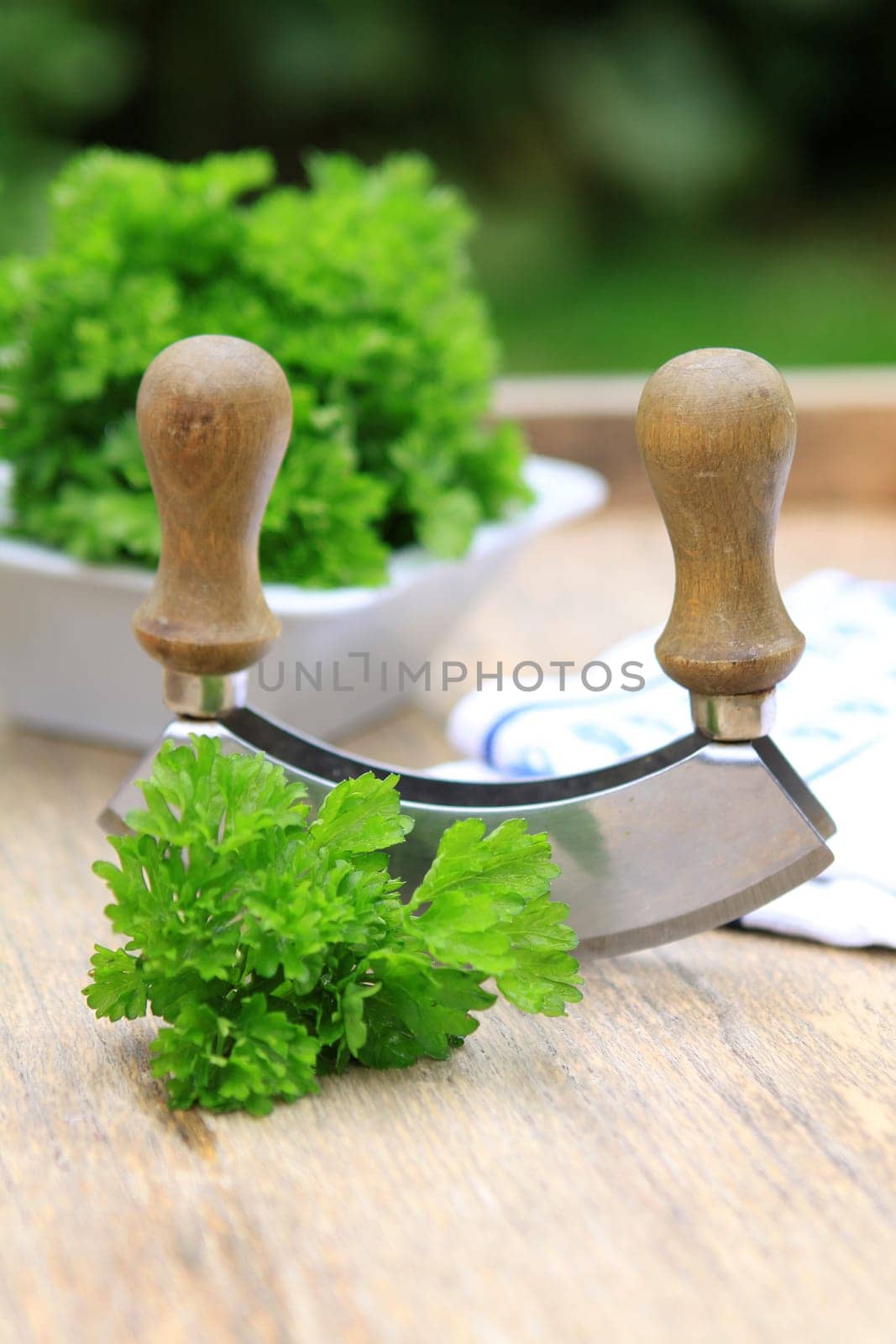 Parsley with Chopping Knife