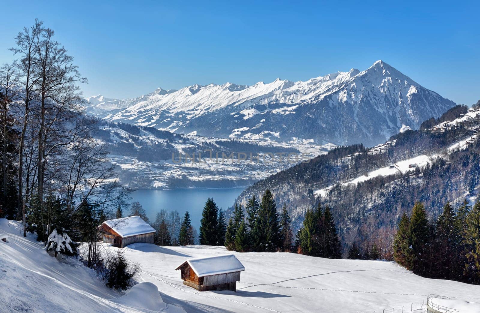 Panorama from the Niederhorn