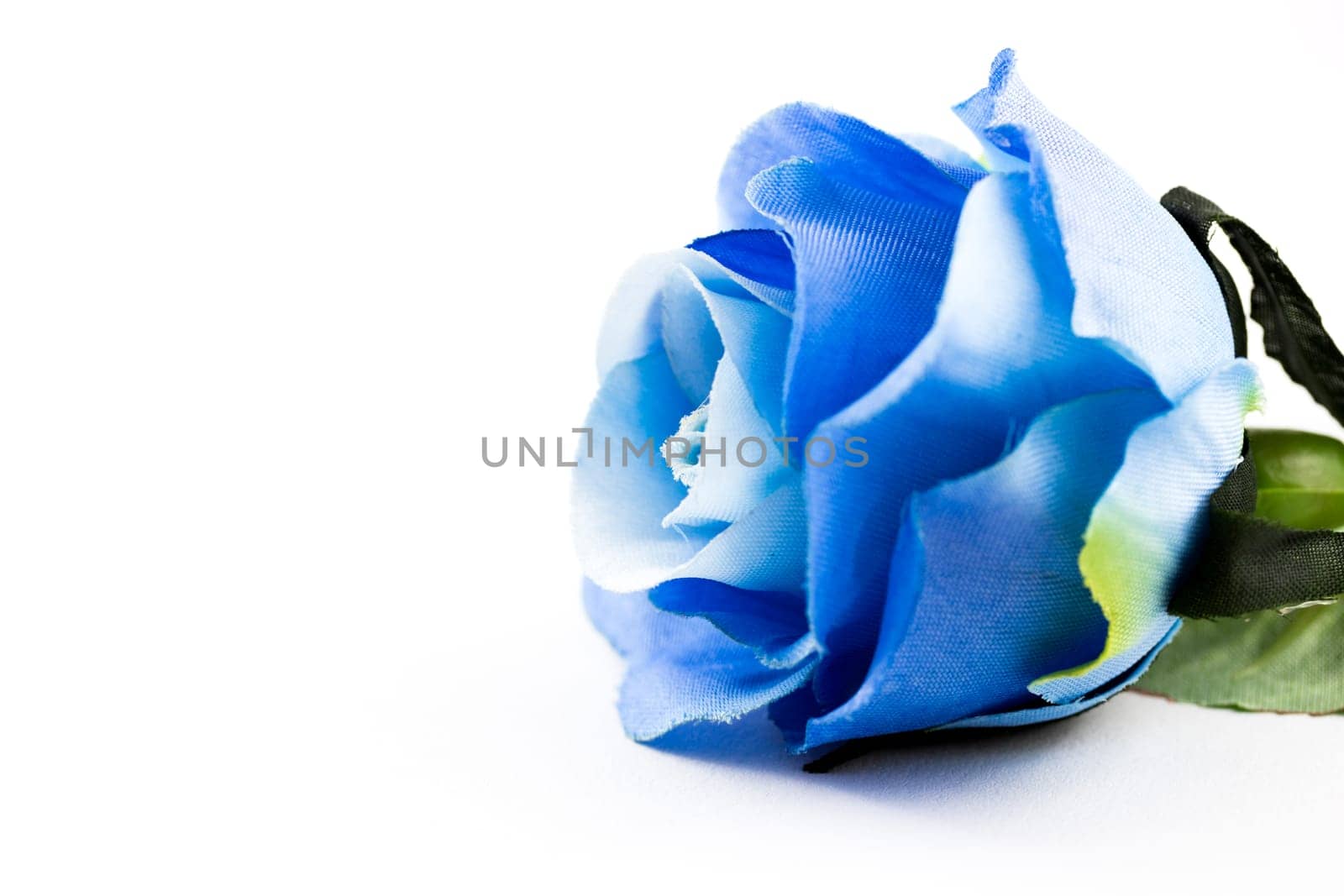 Blue rose on a with background